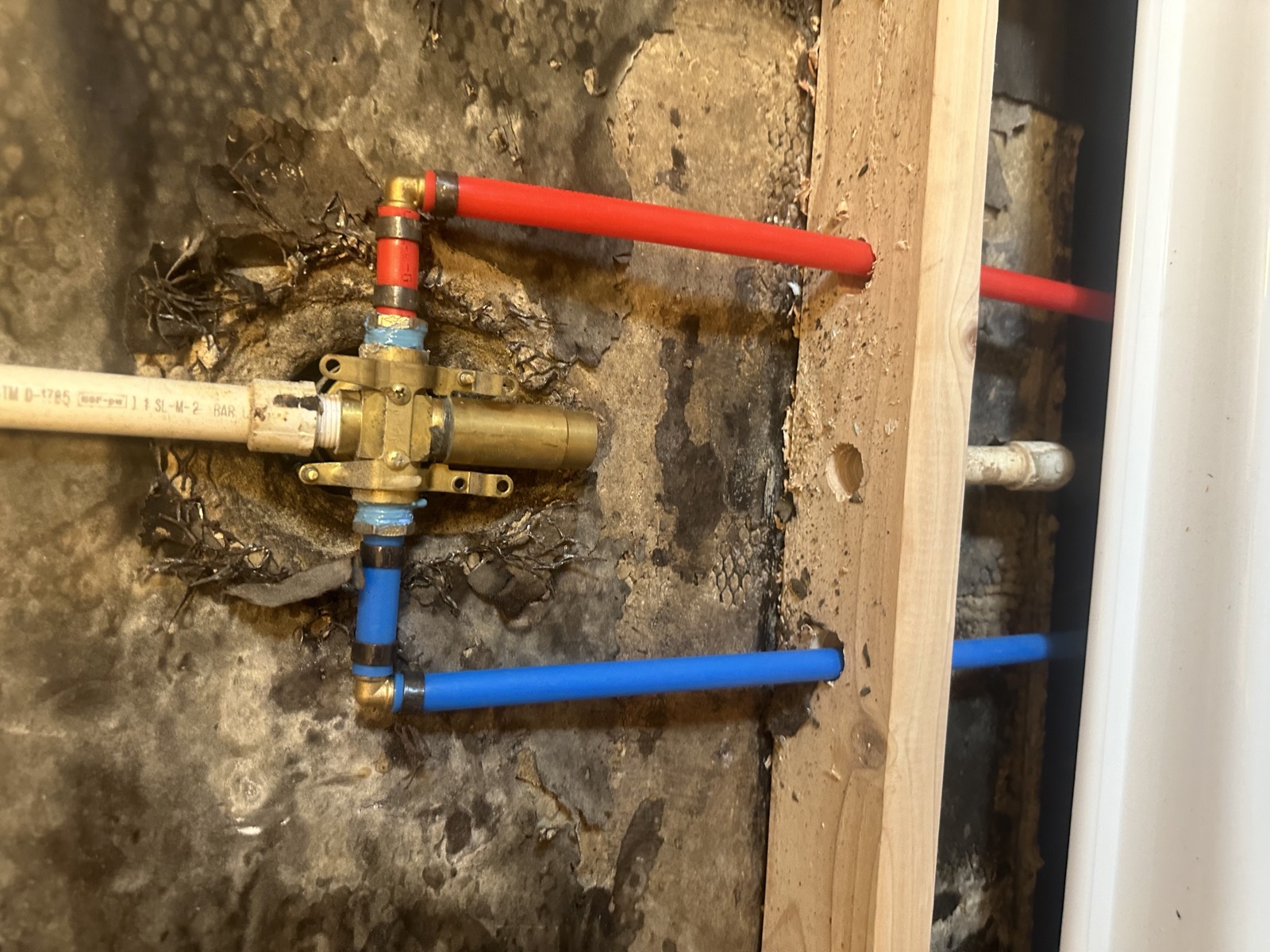 Full bathroom renovation